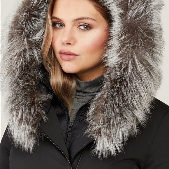 SALMA (Down) by SOIA & KYO - Picture 4 of 14